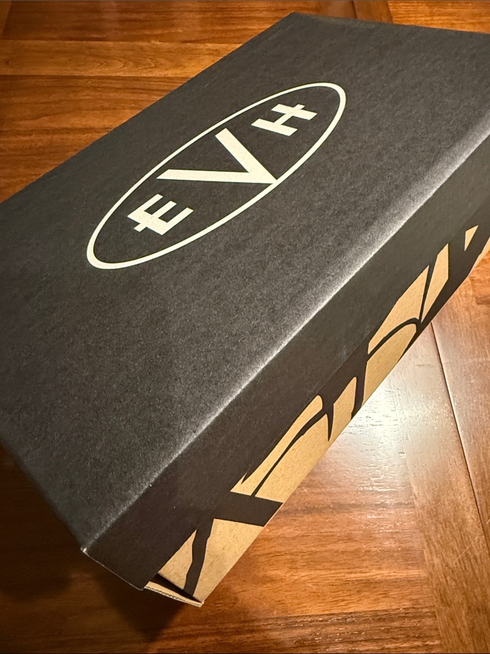 COLLECTIBLE EVH (EDDIE VAN HALEN) EMPTY SHOE BOX - GREAT FOR THE VAN HALEN FAN!!